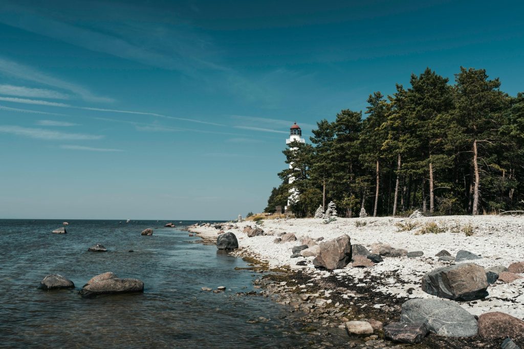 Alternativas de Financiamento na Estônia: Uma Análise dos Serviços de Holmbank, SEB e LHV Pank - Como solicitar empréstimo online