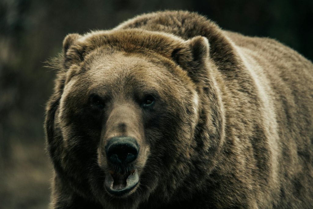 Os Benefícios Imperdíveis dos Cartões de Crédito: Um Guia para OTP, K&H e UniCredit Bank - Como solicitar cartão de crédito online