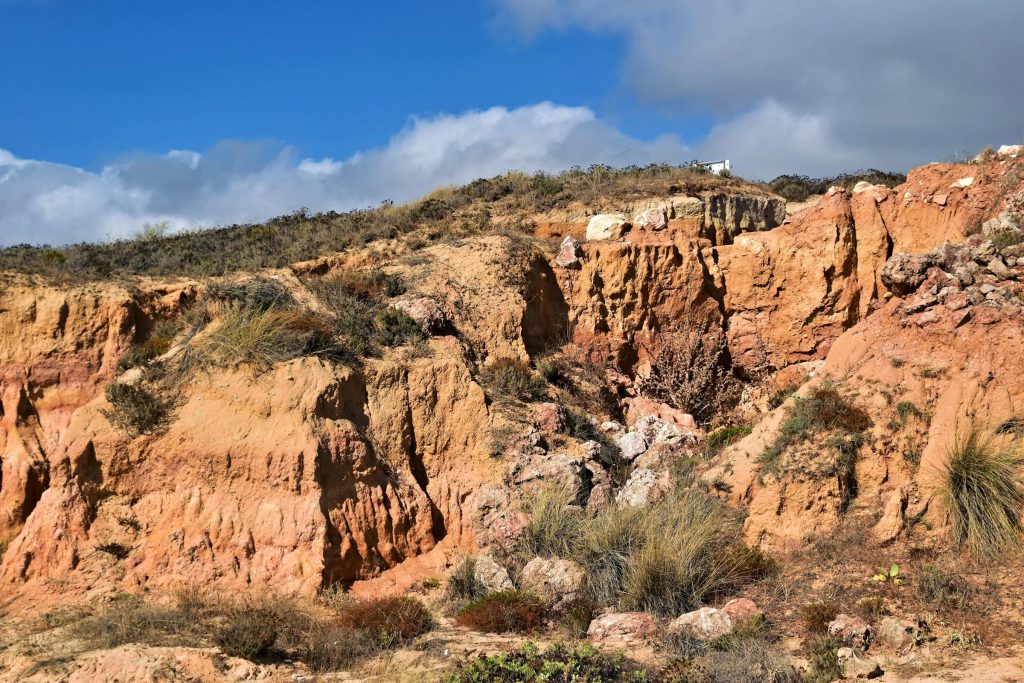 Como Escolher o Melhor Cartão de Crédito Entre as Principais Instituições Financeiras da República Checa: Um Guia Completo - Como solicitar cartão de crédito online