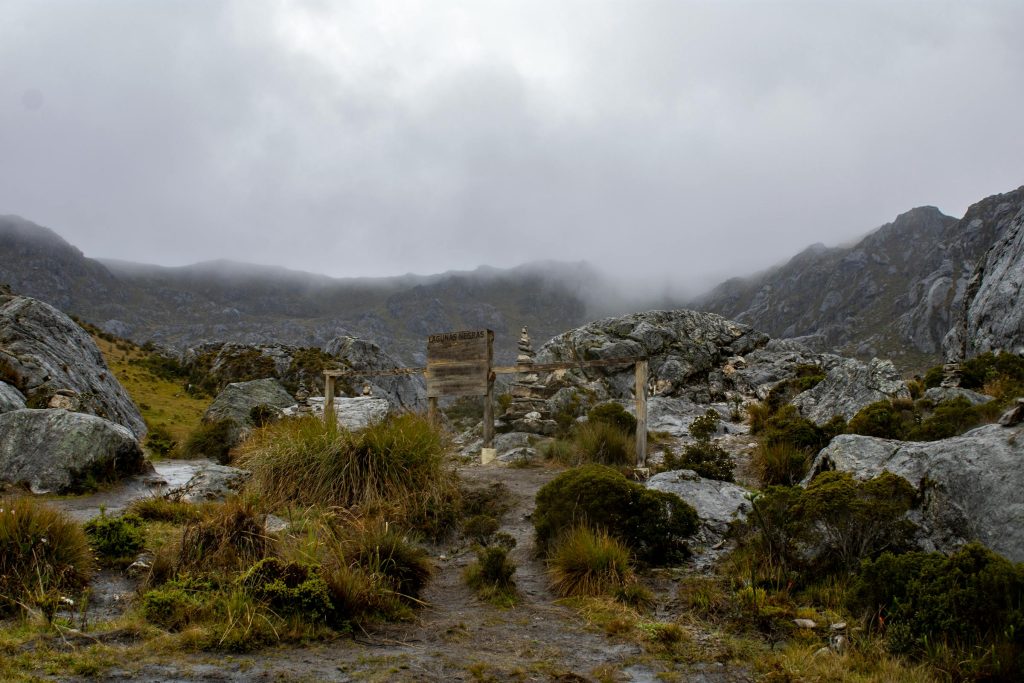 Oportunidades de Carreira em Bancos e Empresas Energéticas: O que Santander, BBVA e Iberdrola Oferecem aos Profissionais - Como conseguir emprego na Espanha