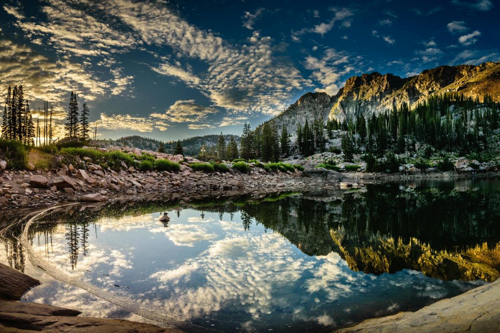 Oportunidades em Alta: Explorando as Carreiras Promissoras na Dinamarca com Vestas, Carlsberg e Mais - Como conseguir emprego na Dinamarca