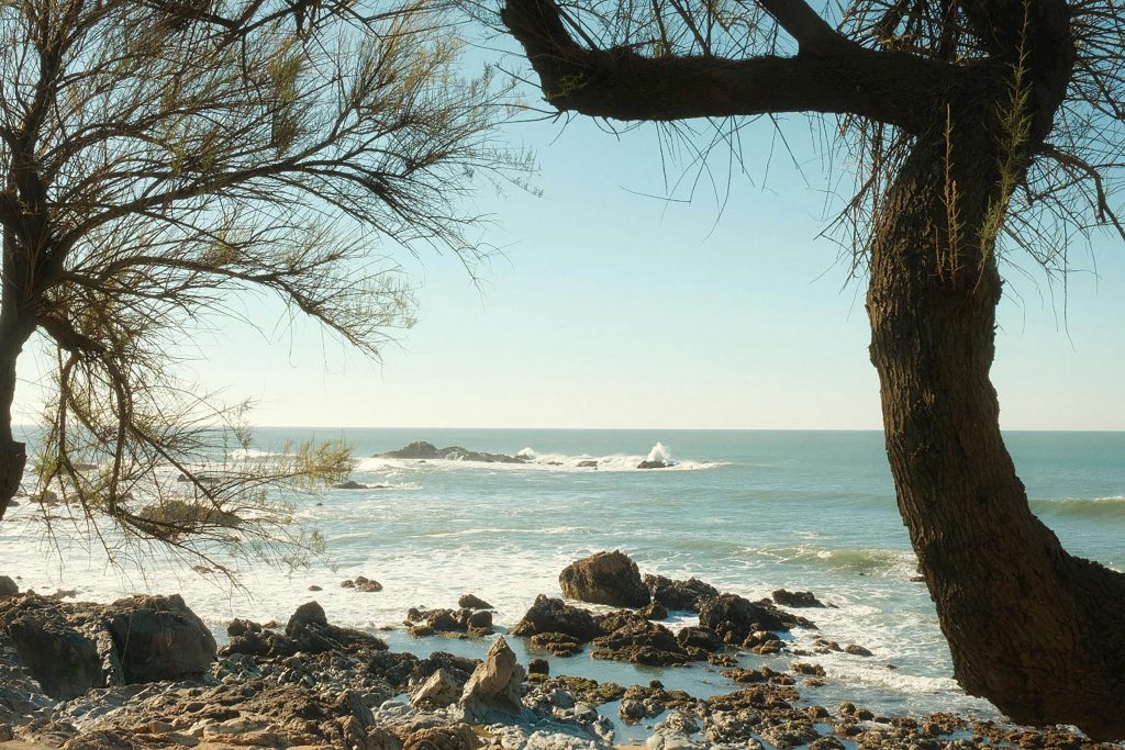 Saiba Como Conquistar Seu Lugar em Setores em Crescimento em Porto Rico: Dicas e Vagas na Saúde e Tecnologia - Como conseguir emprego em Porto Rico